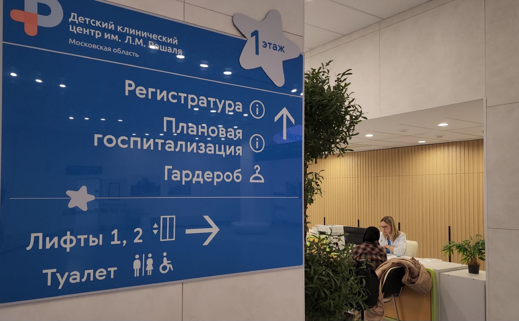 красногорск, дкц имени рошаля, роспись стен,Шилов, Алексей Шилов,