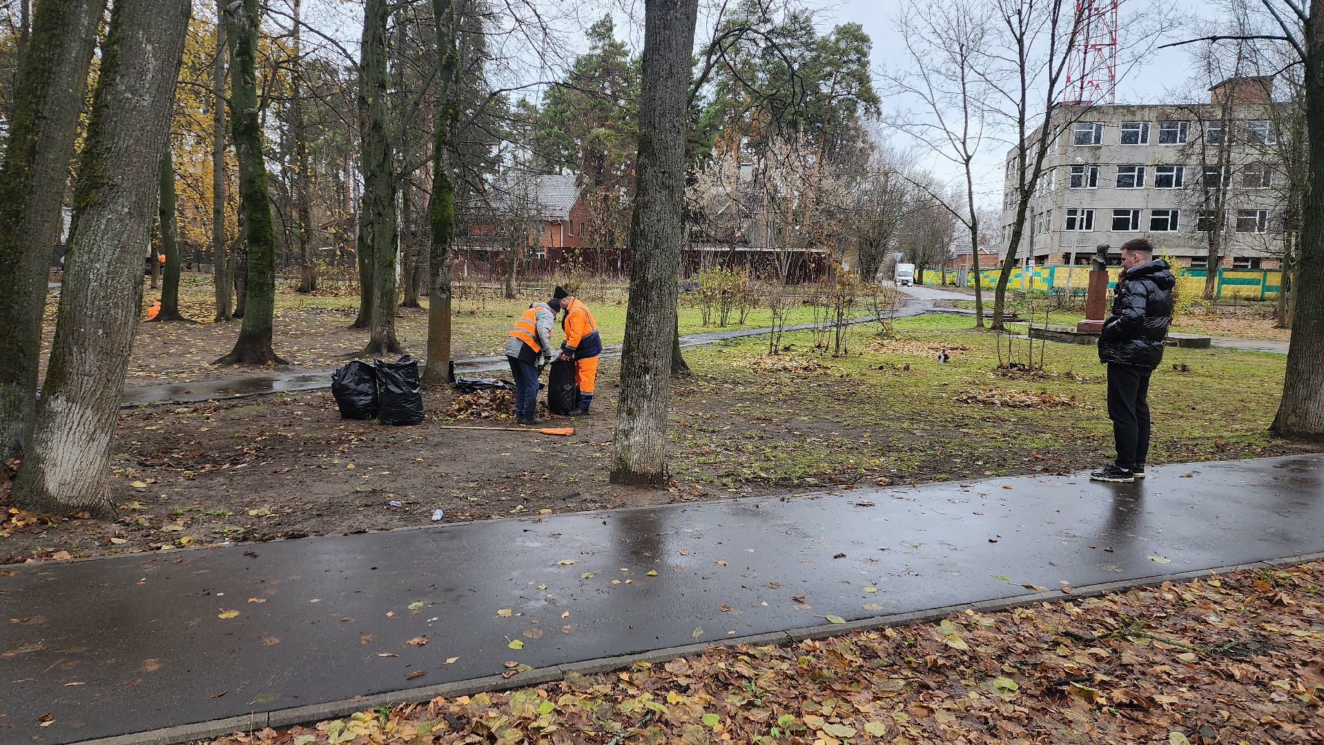 вертикалки, пушкино, благоустройство, листва, уборка дворов осенью, уборка общественных территорий, памятник, сквер,