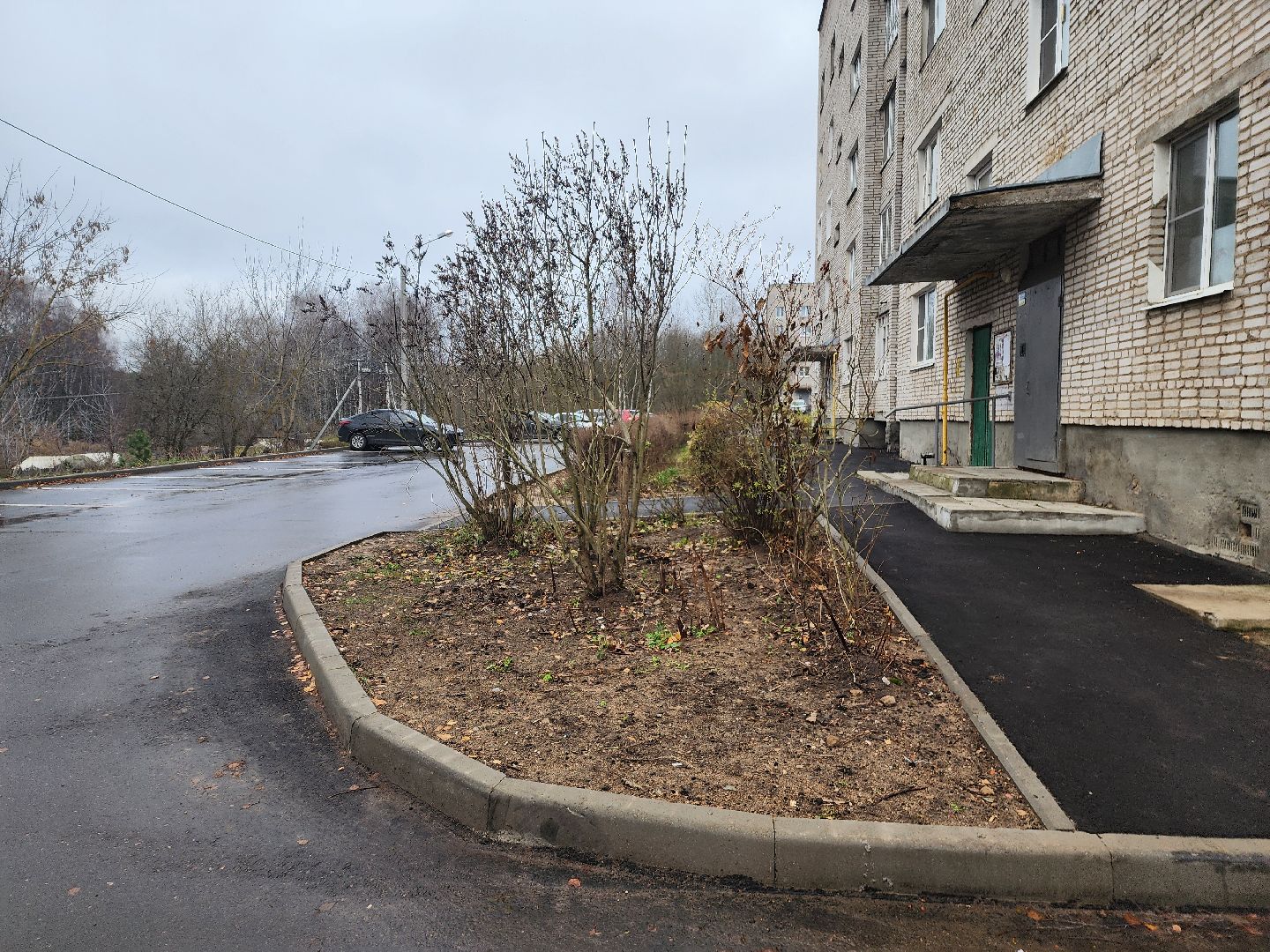 красноармейск, городской округ пушкинский, благоустойство, вертикалки,