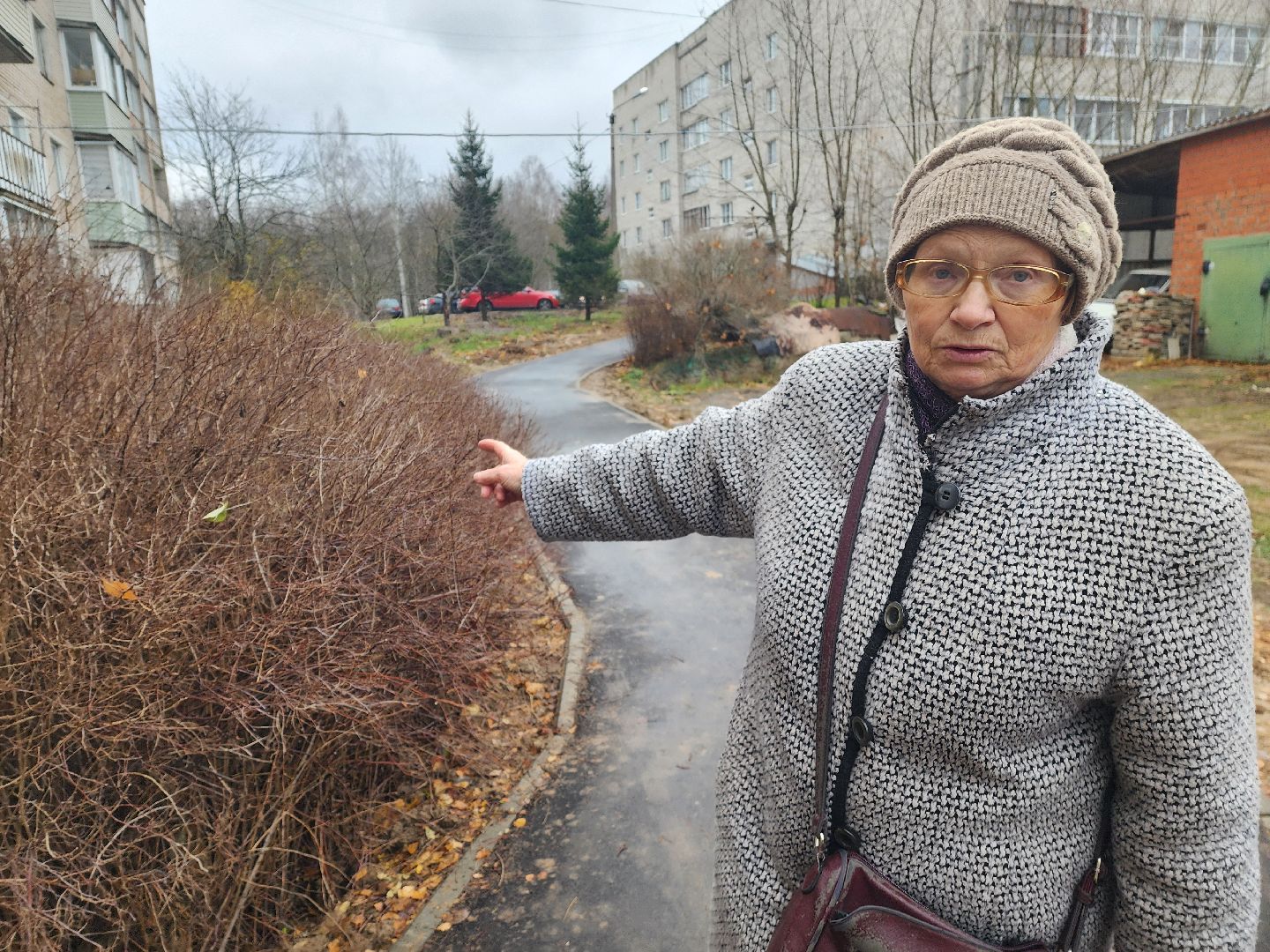 красноармейск, городской округ пушкинский, благоустойство, вертикалки,