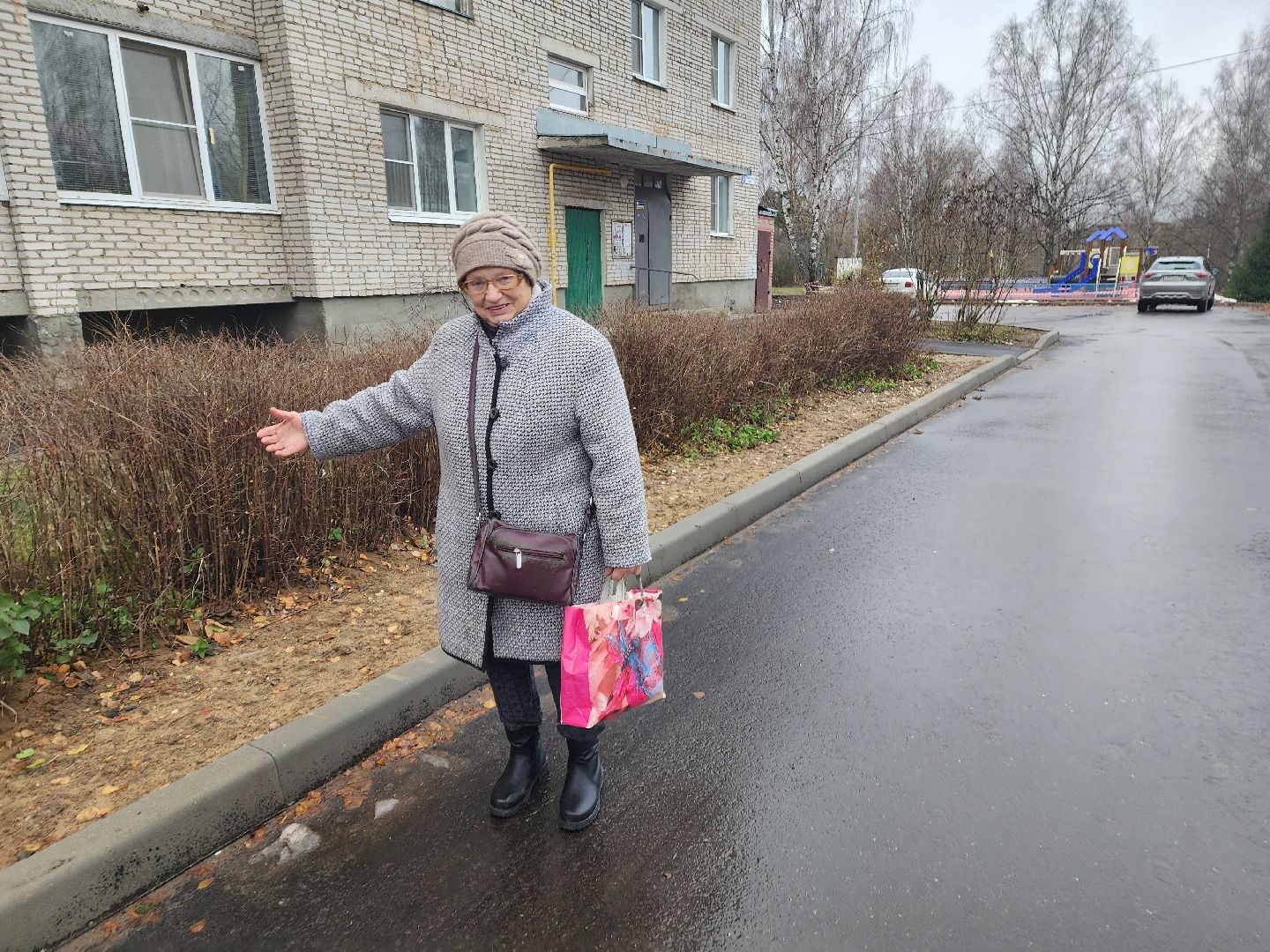 красноармейск, городской округ пушкинский, благоустойство, вертикалки,