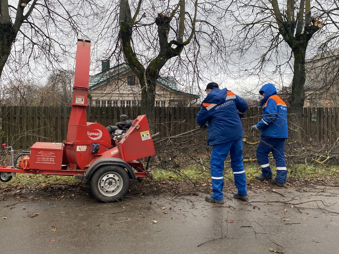 Ветки, Деревья, Истра, спиливание веток, вертикалки,