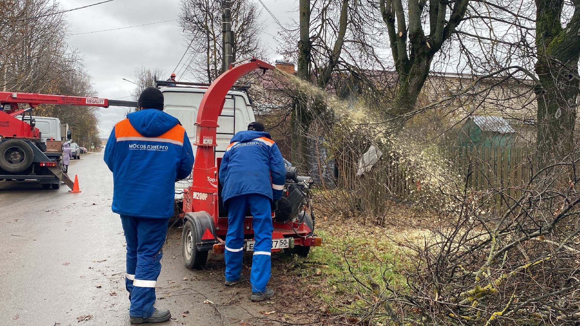 Ветки, Деревья, Истра, спиливание веток, вертикалки,