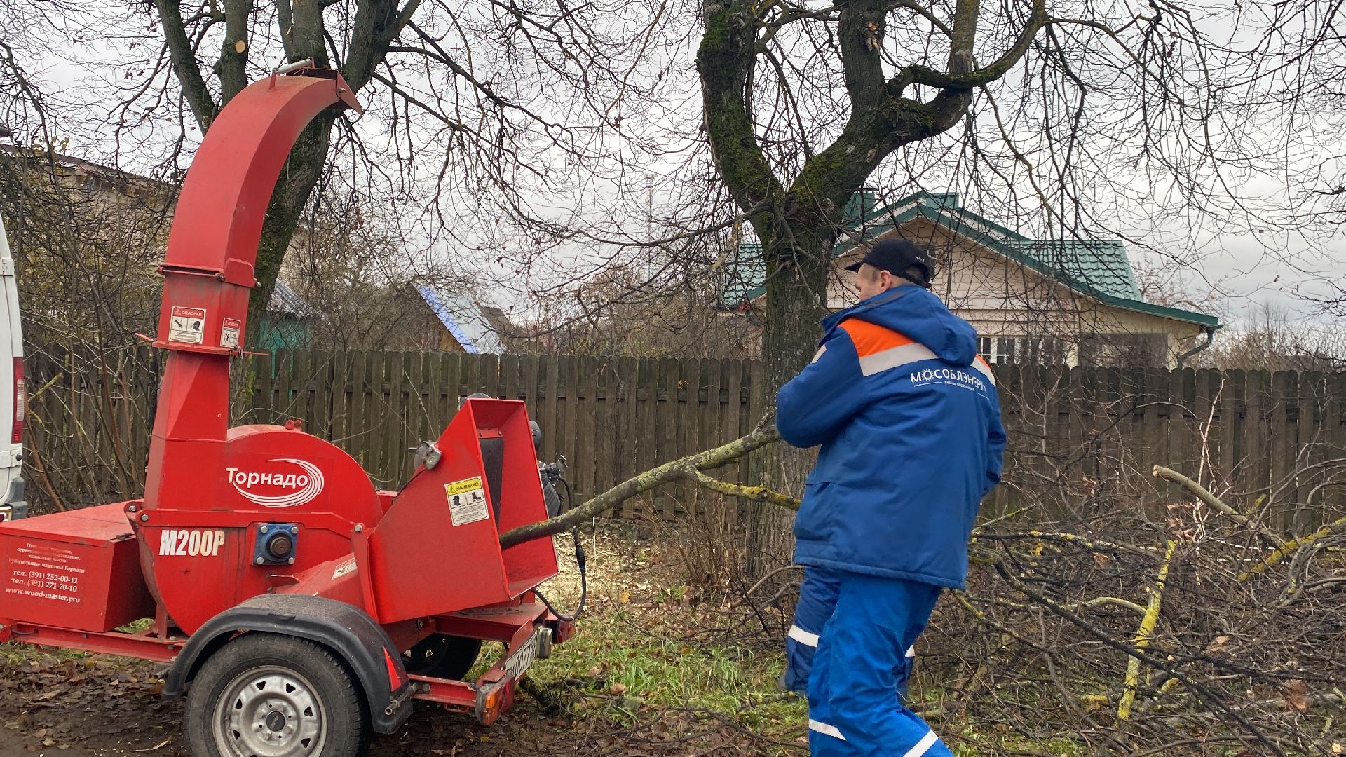 Ветки, Деревья, Истра, спиливание веток, вертикалки,