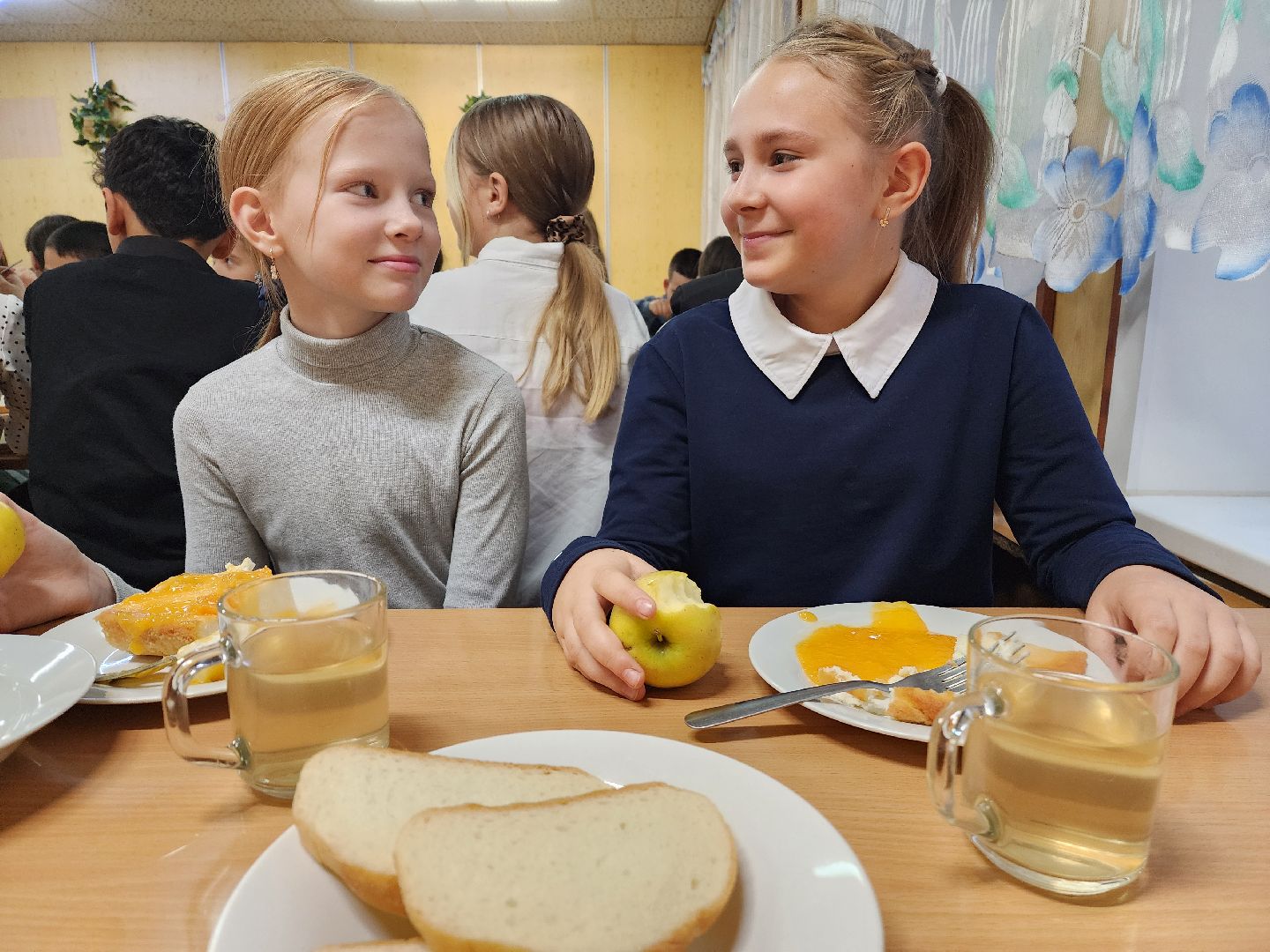 вертикалки, красноармейск, городской округ пушкинский, образование, школьное питание,
