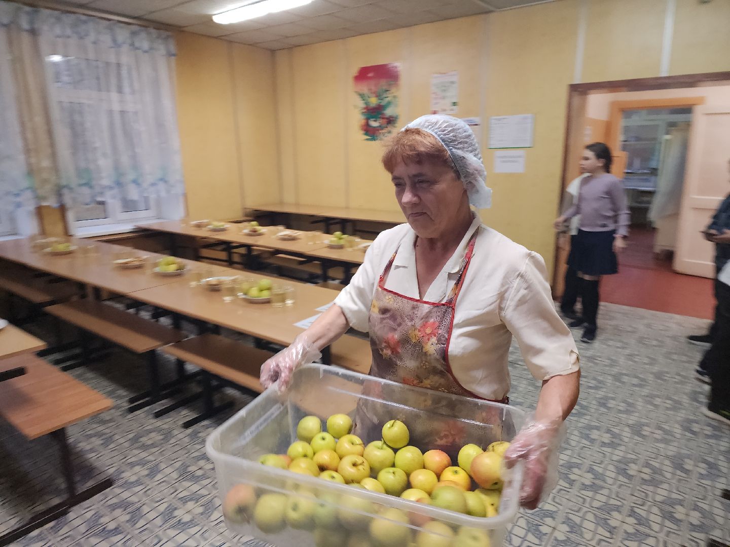 вертикалки, красноармейск, городской округ пушкинский, образование, школьное питание,