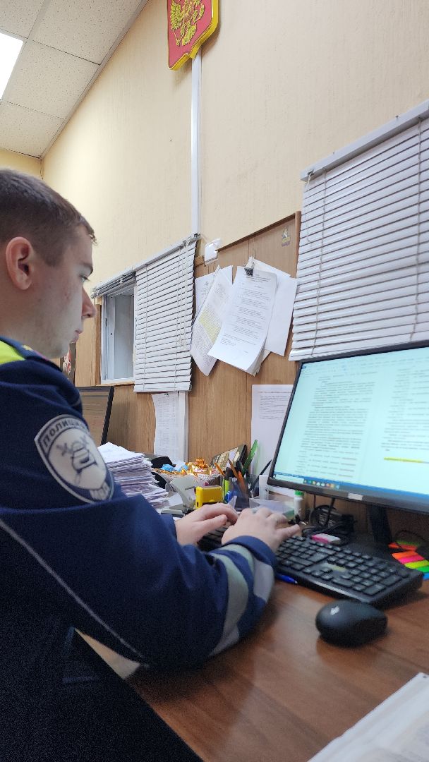 гибдд, гаи, дорожная полиция, день полиции, электросталь, дорожная безопасность,вертикалки