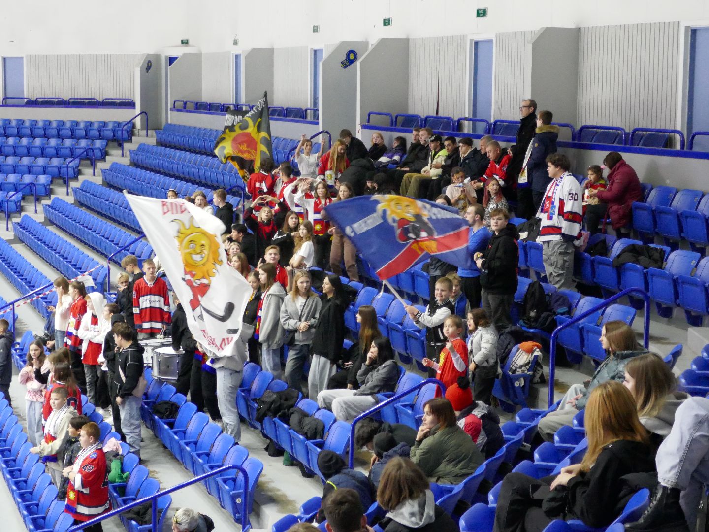 Подольск, Спорт, Хоккей, Витязь, Хорс подольск,