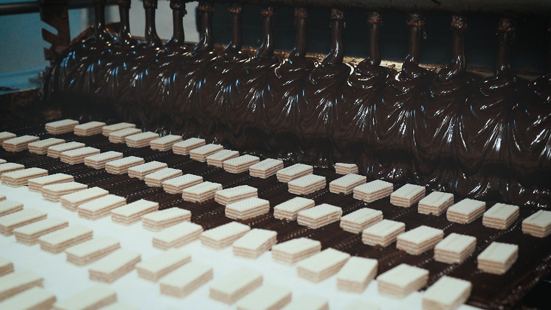 Егорьевск, импортозамещение, кондитерская фабрика, шоколадные массы, бизнес, Подмосковье, Московская область,