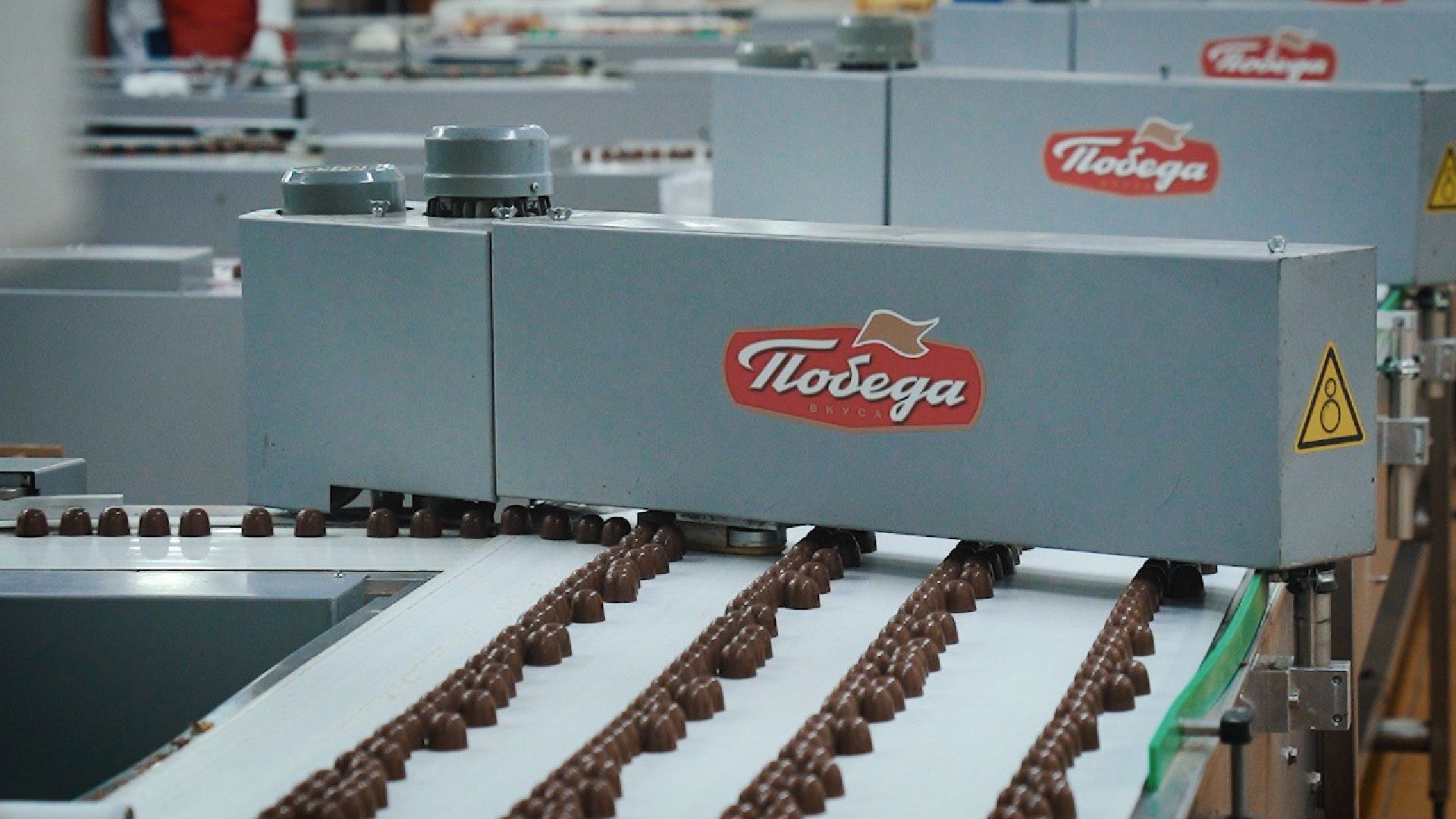 Егорьевск, импортозамещение, кондитерская фабрика, шоколадные массы, бизнес, Подмосковье, Московская область,