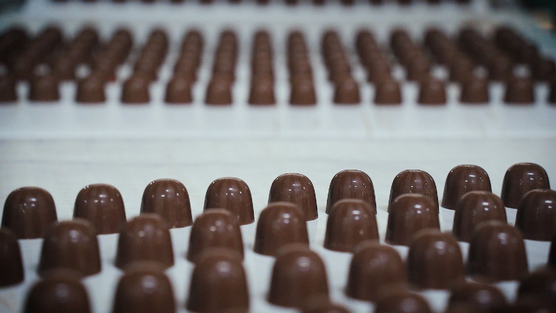 Егорьевск, импортозамещение, кондитерская фабрика, шоколадные массы, бизнес, Подмосковье, Московская область,