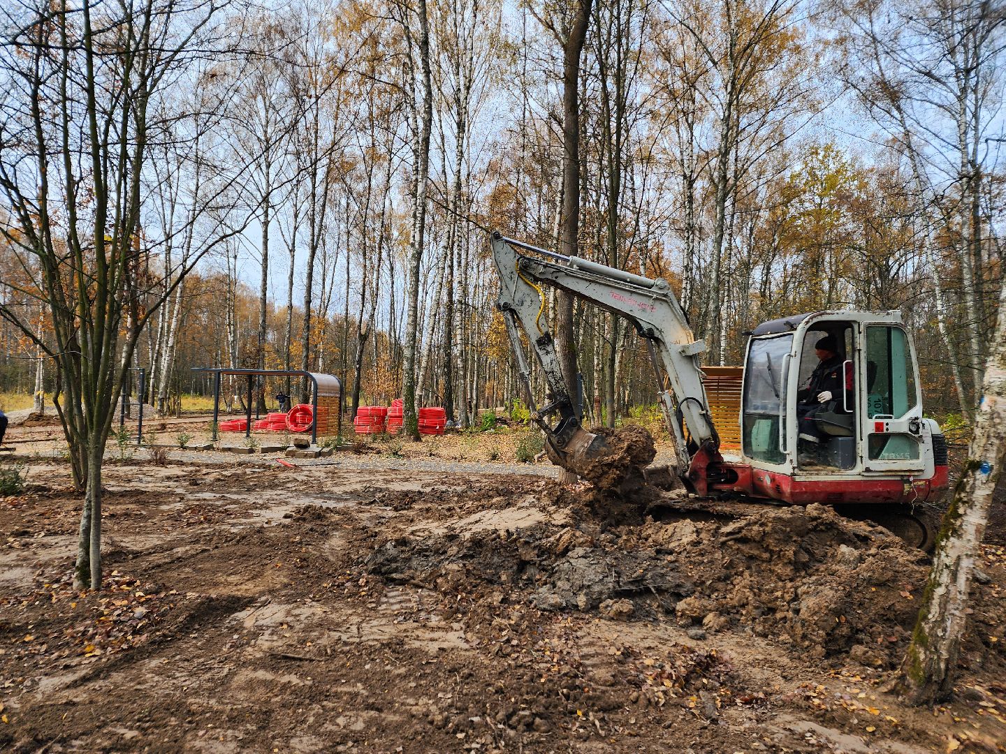 Чехов, микрорайон Губернский, лесопарк, лесопарковая зона отдыха, строительство, благоустройство, детские площадки, спортивные площадки, зоны отдыха, региональная программа Парки в лесу, вертикалки,