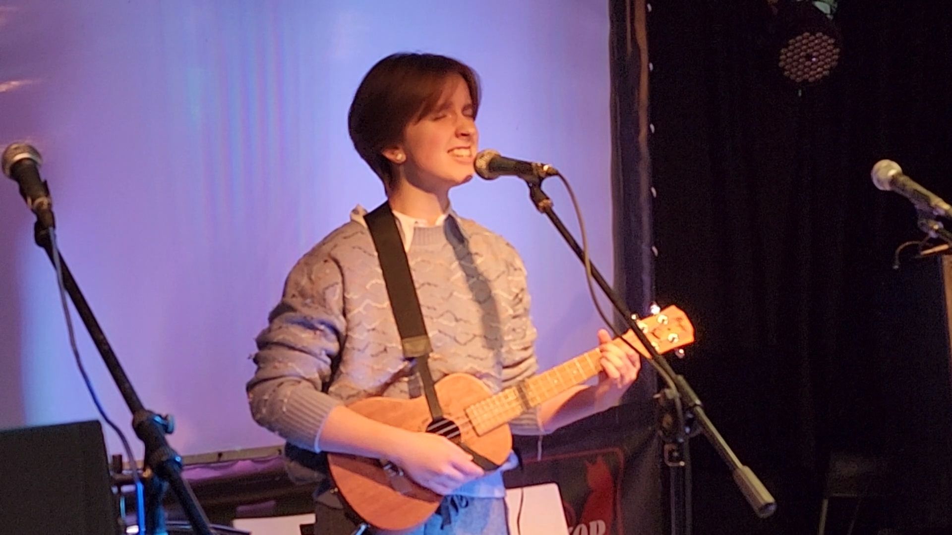 вертикалки, пушкино,