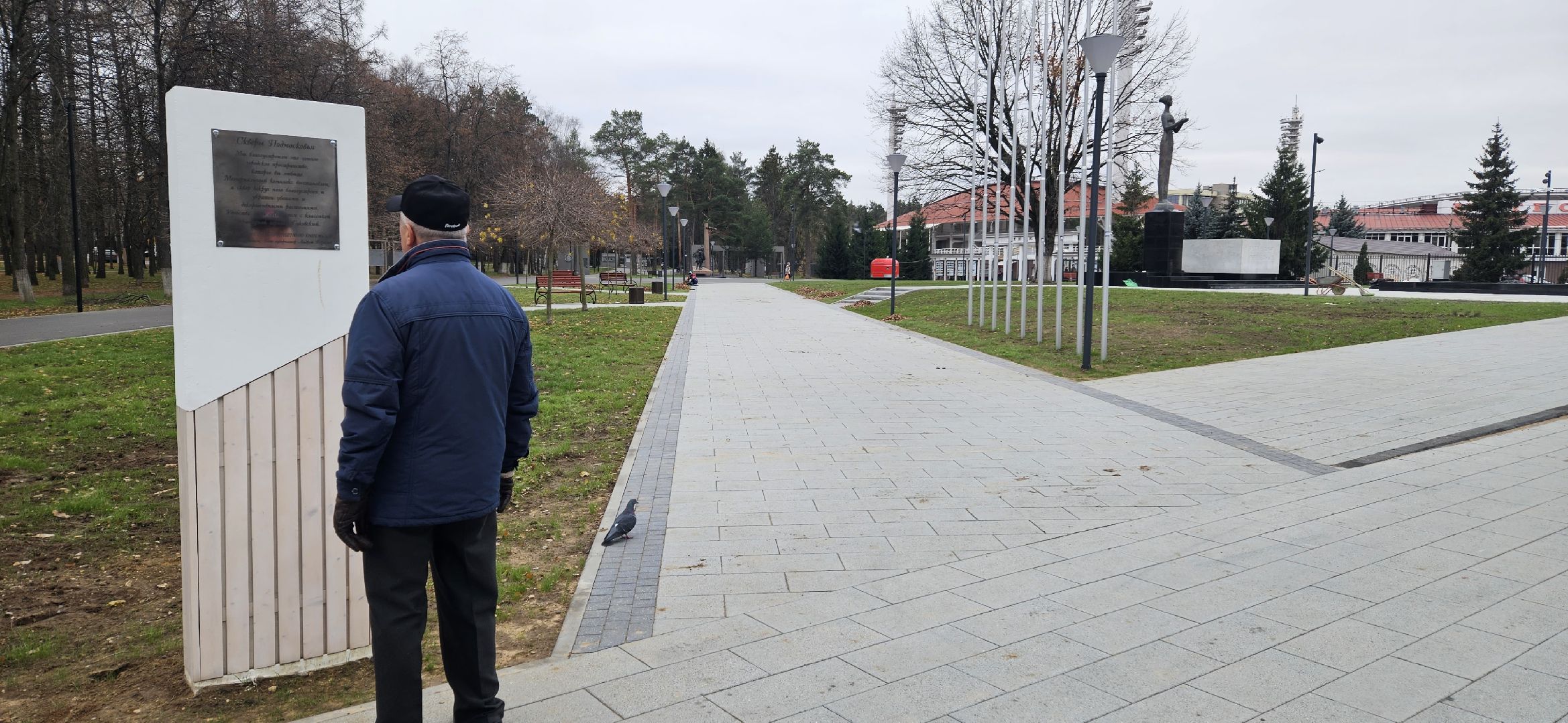 вечный огонь, сквер, Жуковский, уборка, вертикалки,