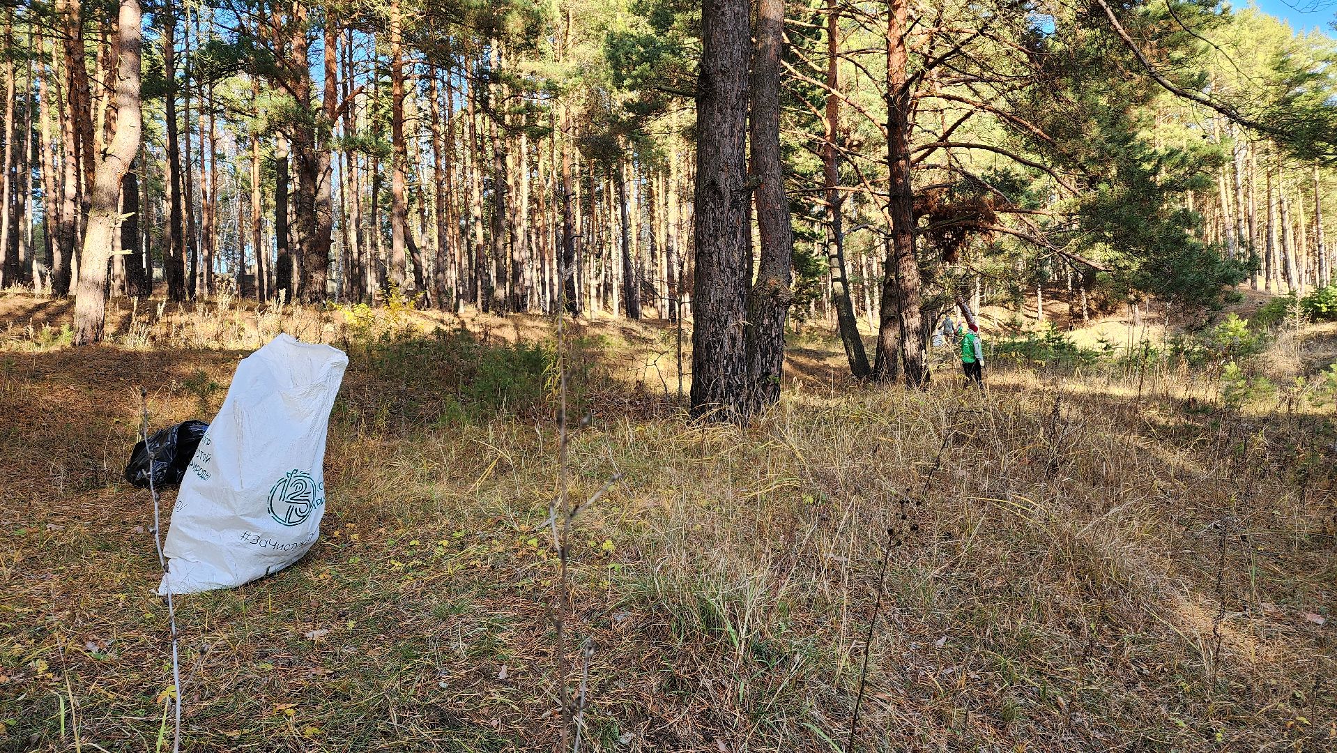 ступино, экология, субботник, вертикалки,