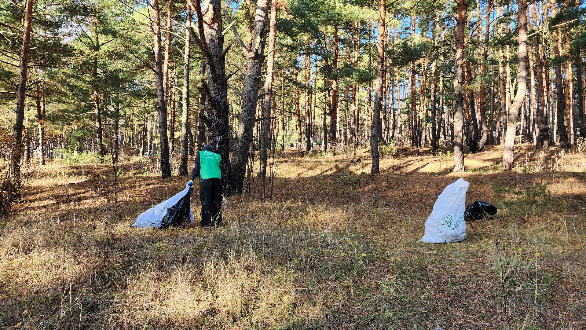 ступино, экология, субботник, вертикалки,