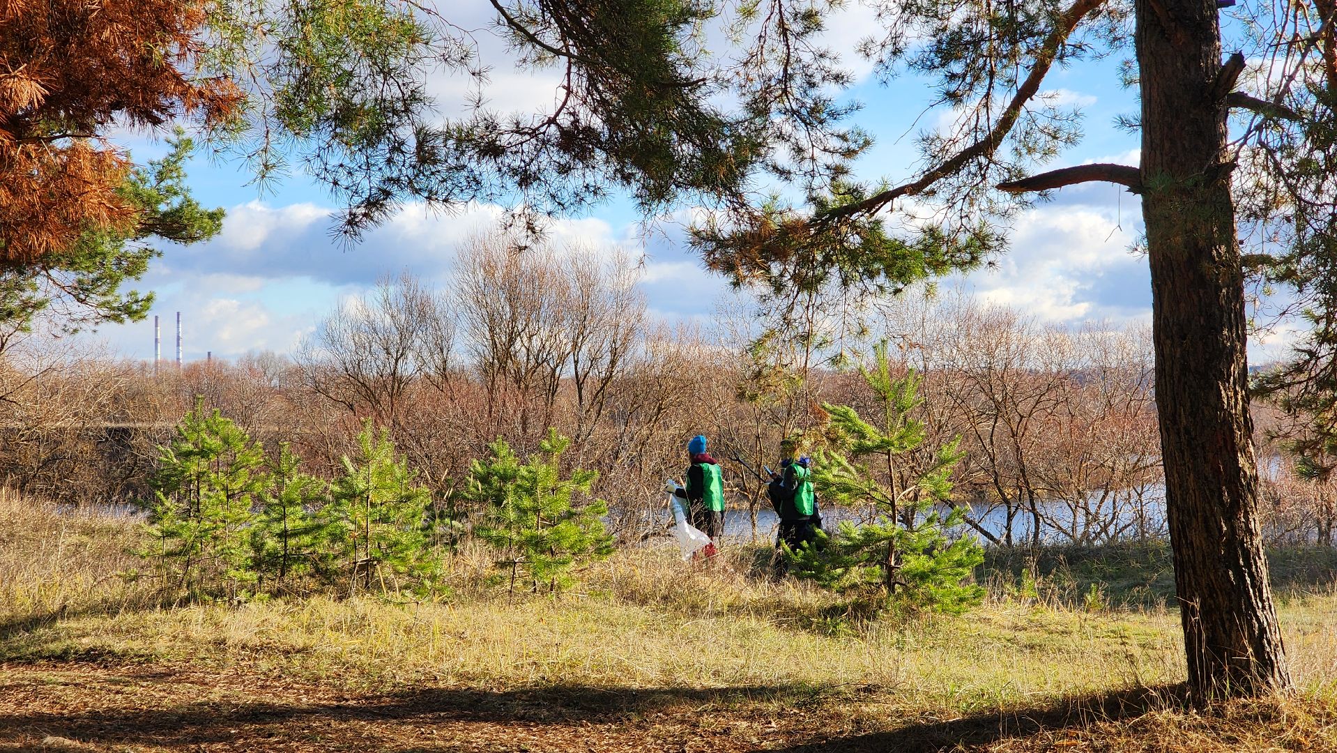 ступино, экология, субботник, вертикалки,