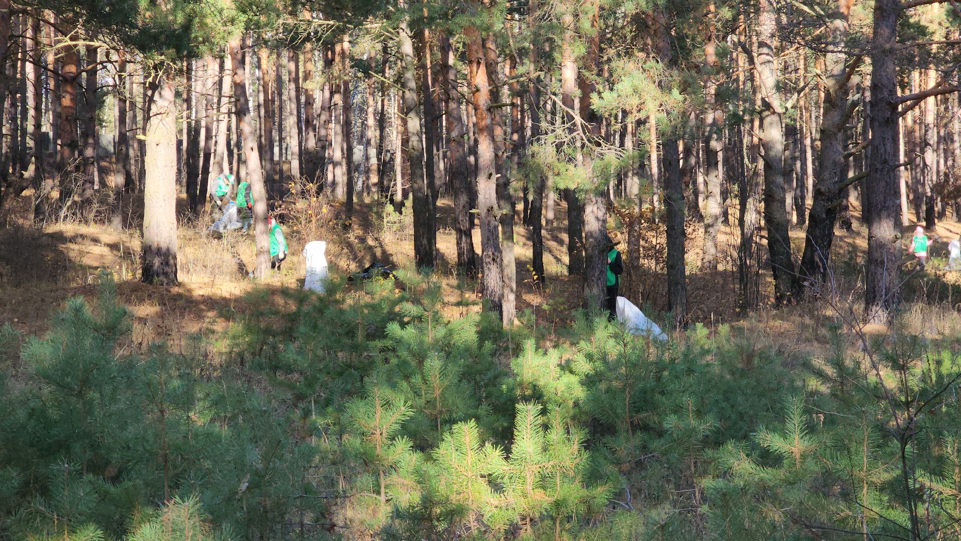 ступино, экология, субботник, вертикалки,