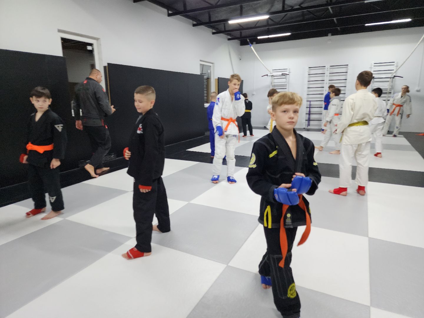 вертикалки, джиу-джитсу, чемпион мира, куровское, орехово-зуевский округ,