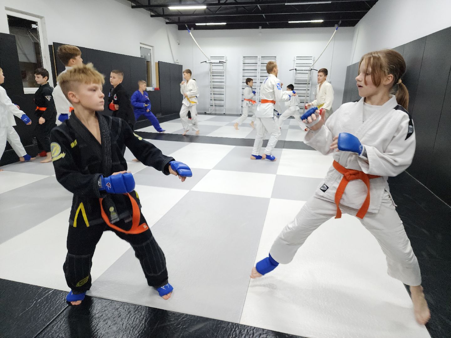 вертикалки, джиу-джитсу, чемпион мира, куровское, орехово-зуевский округ,