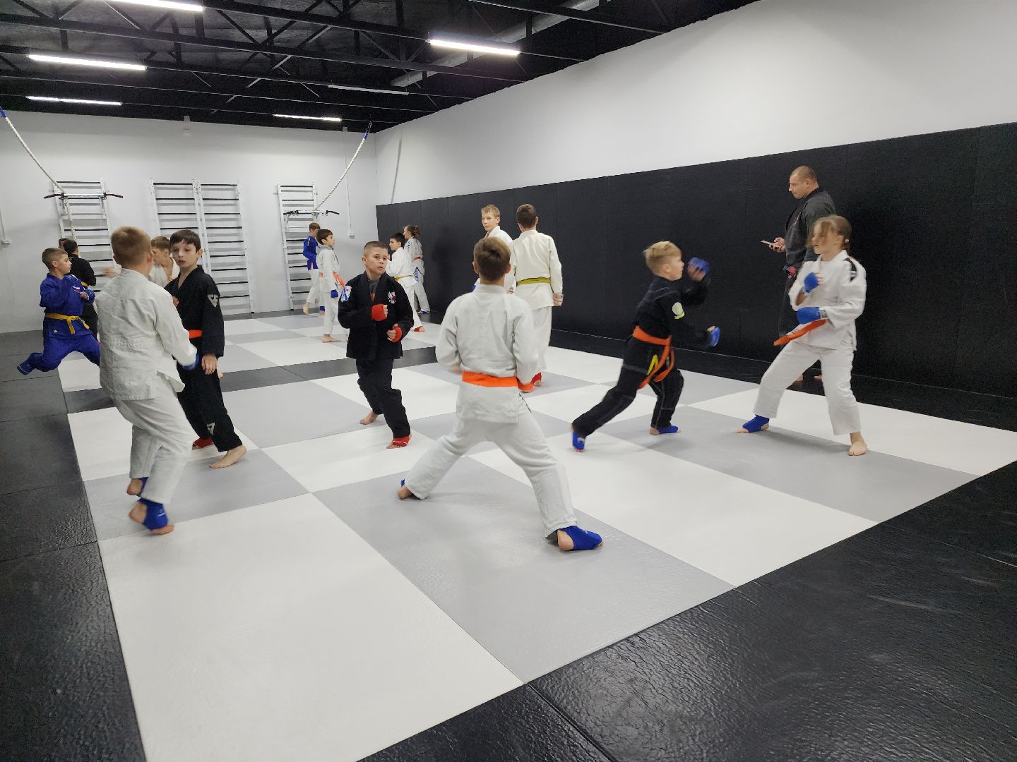 вертикалки, джиу-джитсу, чемпион мира, куровское, орехово-зуевский округ,