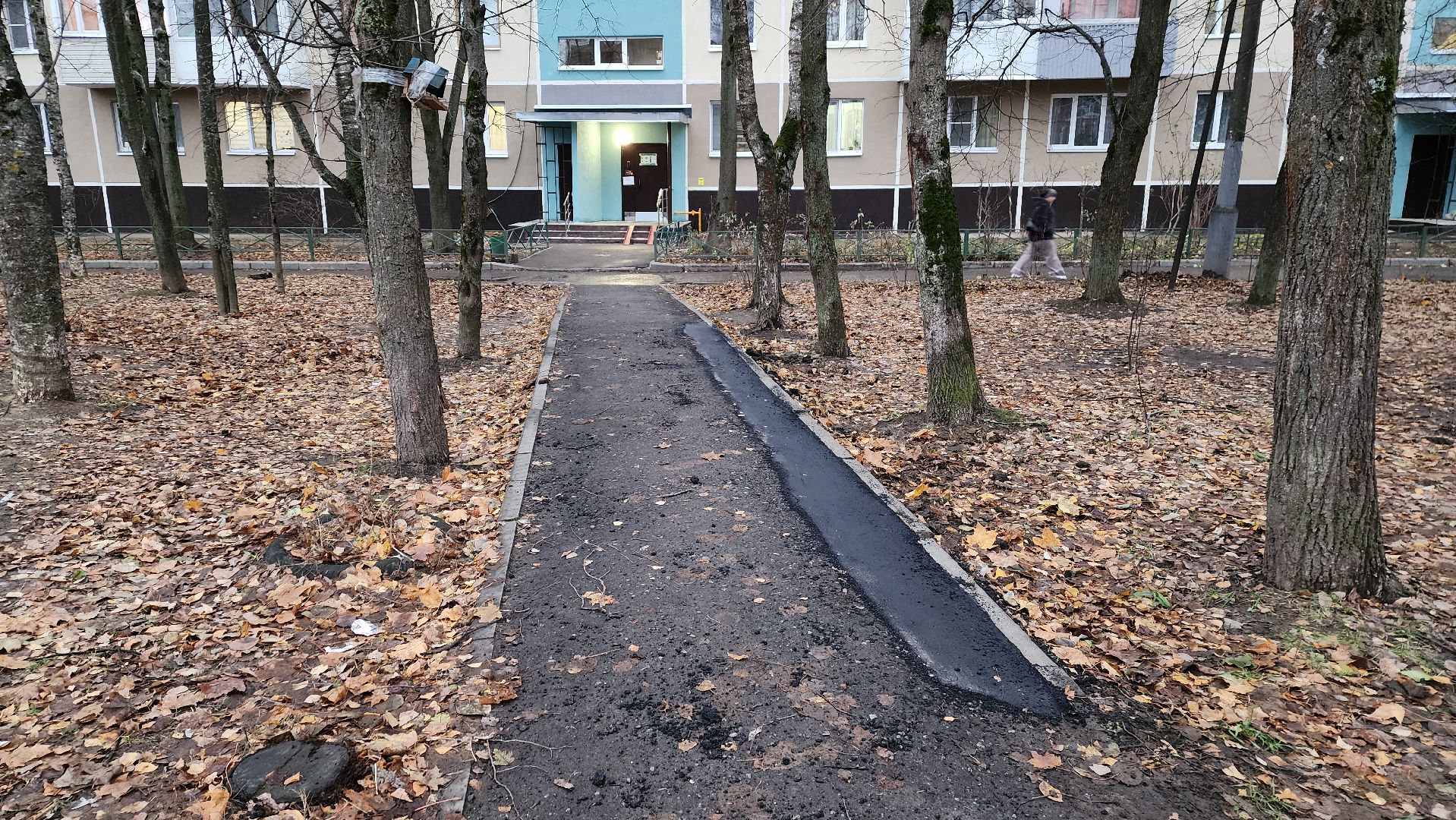 вертикалки, пушкино, дороги, благоустройство, ямочный ремонт,