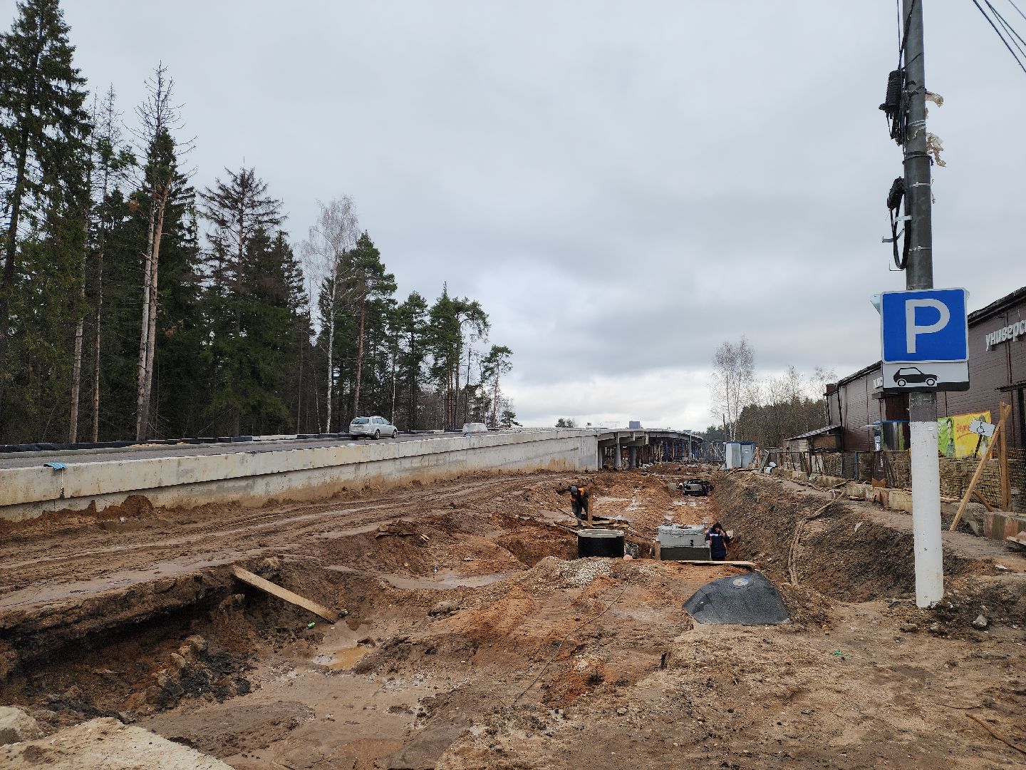 красногорск, аникеевка, мцд-2, путепровод, вертикалка,