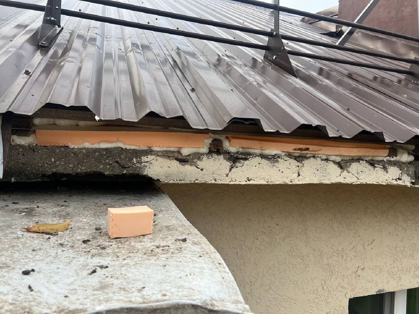 управляющая компания, голуби, крыша, городской округ восход, вертикалки,