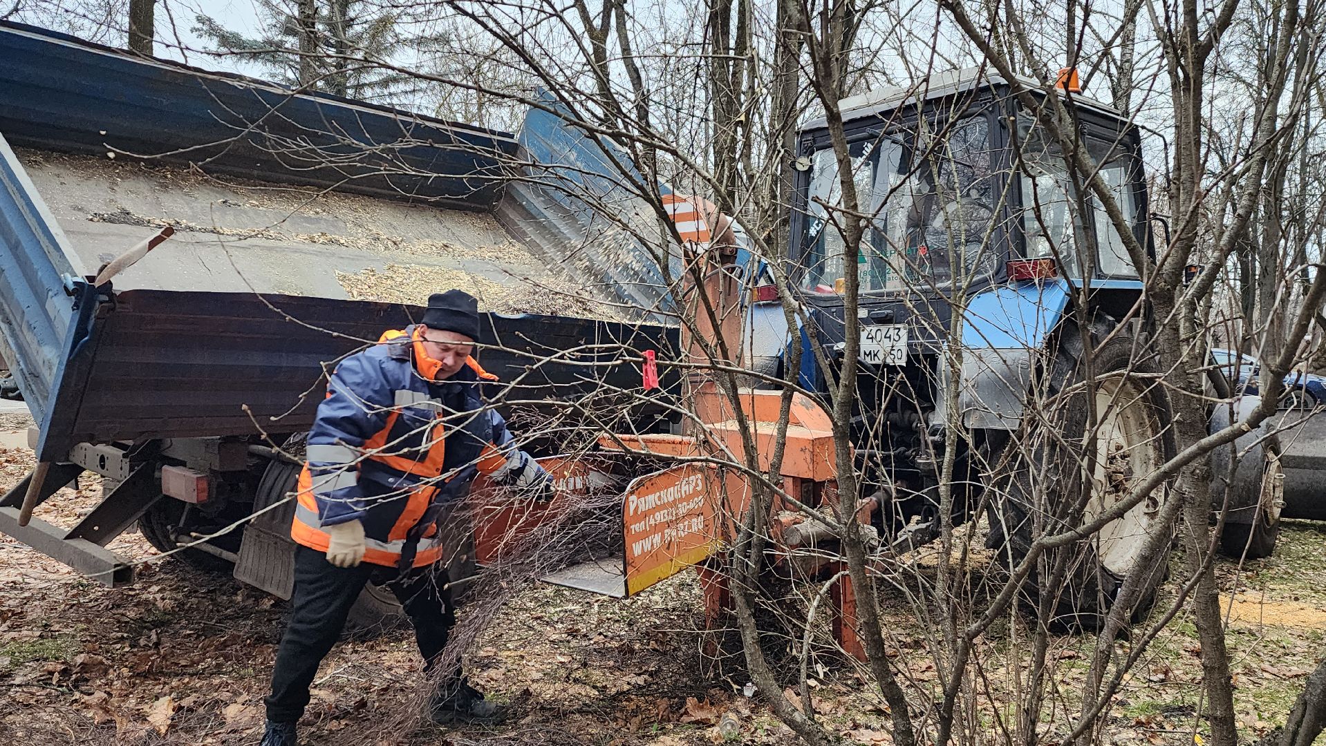 благоустройство, озеленение, коммунальная служба, вертикаль, истра,
