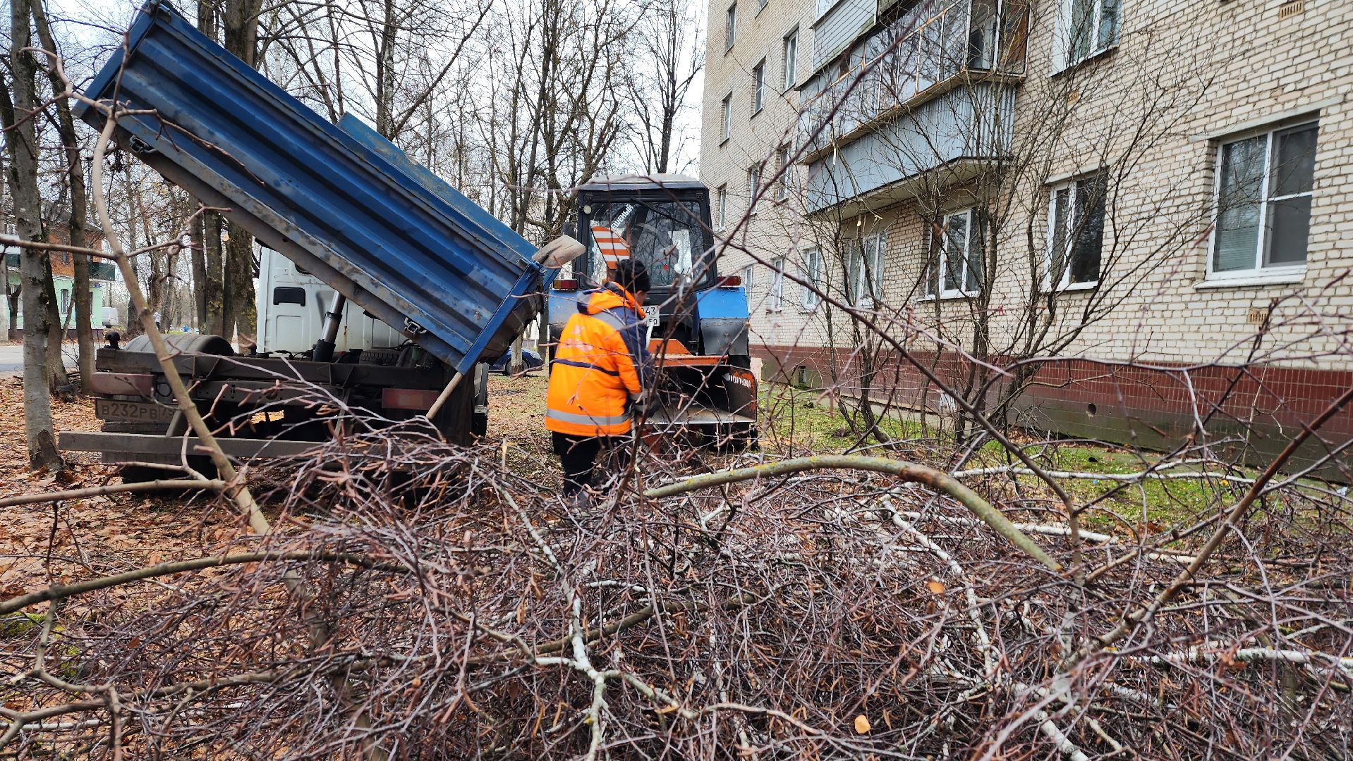 благоустройство, озеленение, коммунальная служба, вертикаль, истра,
