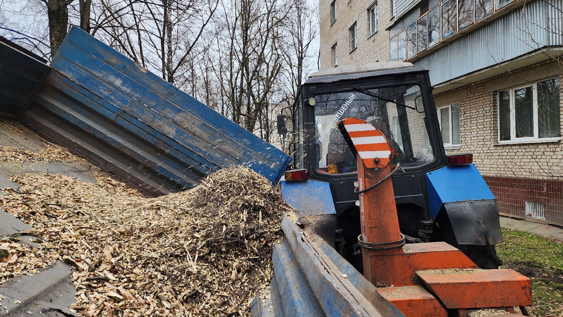 благоустройство, озеленение, коммунальная служба, вертикаль, истра,
