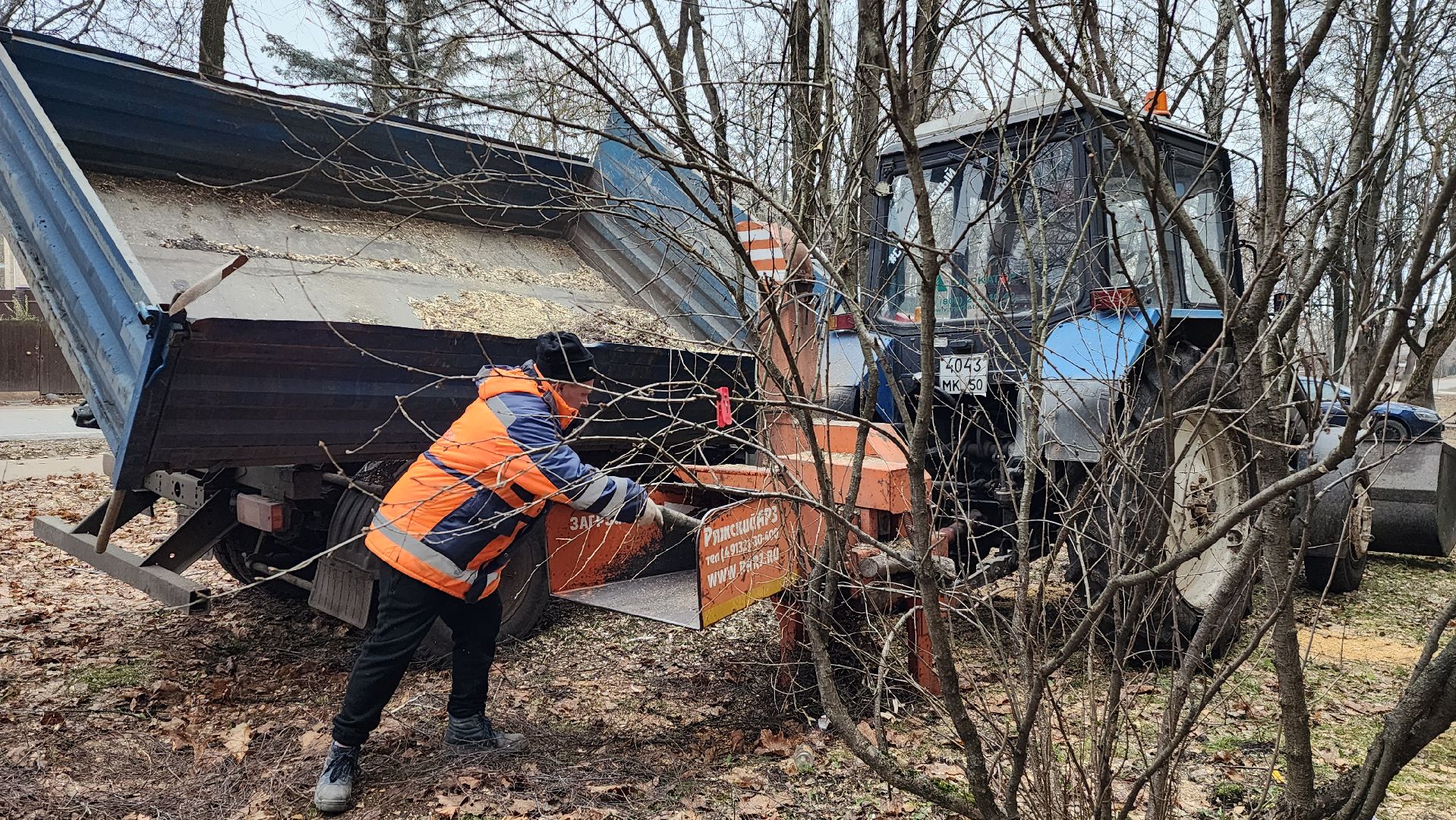 благоустройство, озеленение, коммунальная служба, вертикаль, истра,