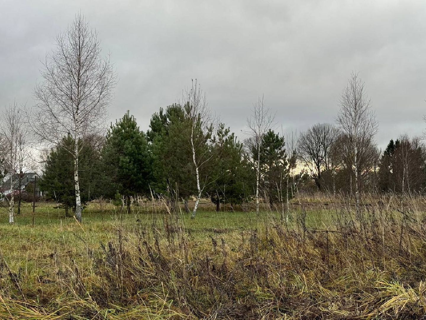можайск, можайский городской округ, подмосковье, минполосы, опашка лесов, пожарная безопасность, безопасность населения, экология, вертикалки,