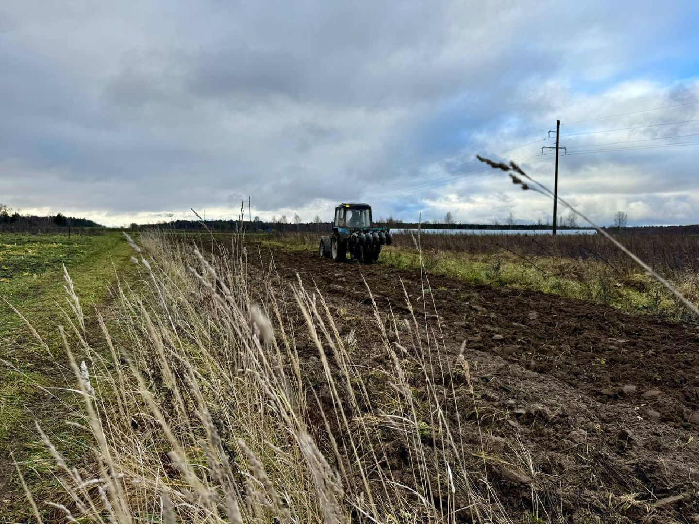 можайск, можайский городской округ, подмосковье, минполосы, опашка лесов, пожарная безопасность, безопасность населения, экология, вертикалки,