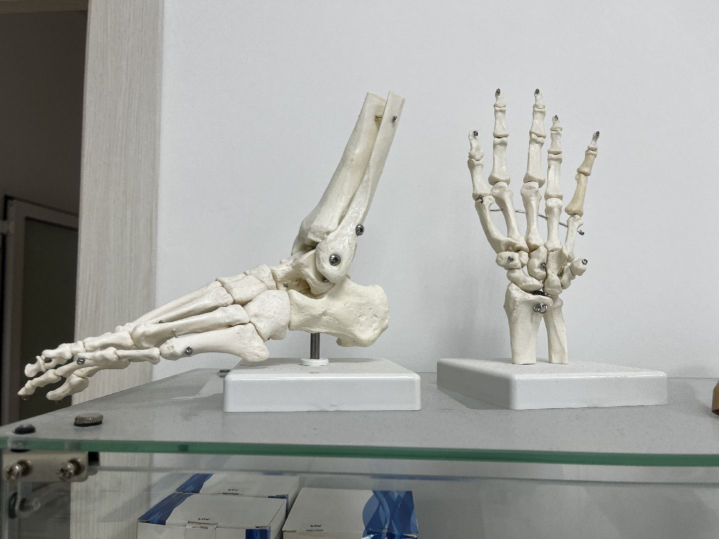 волоколамск, помощь пожилым, индивидуальные предприниматели, социальное предпринимательство,