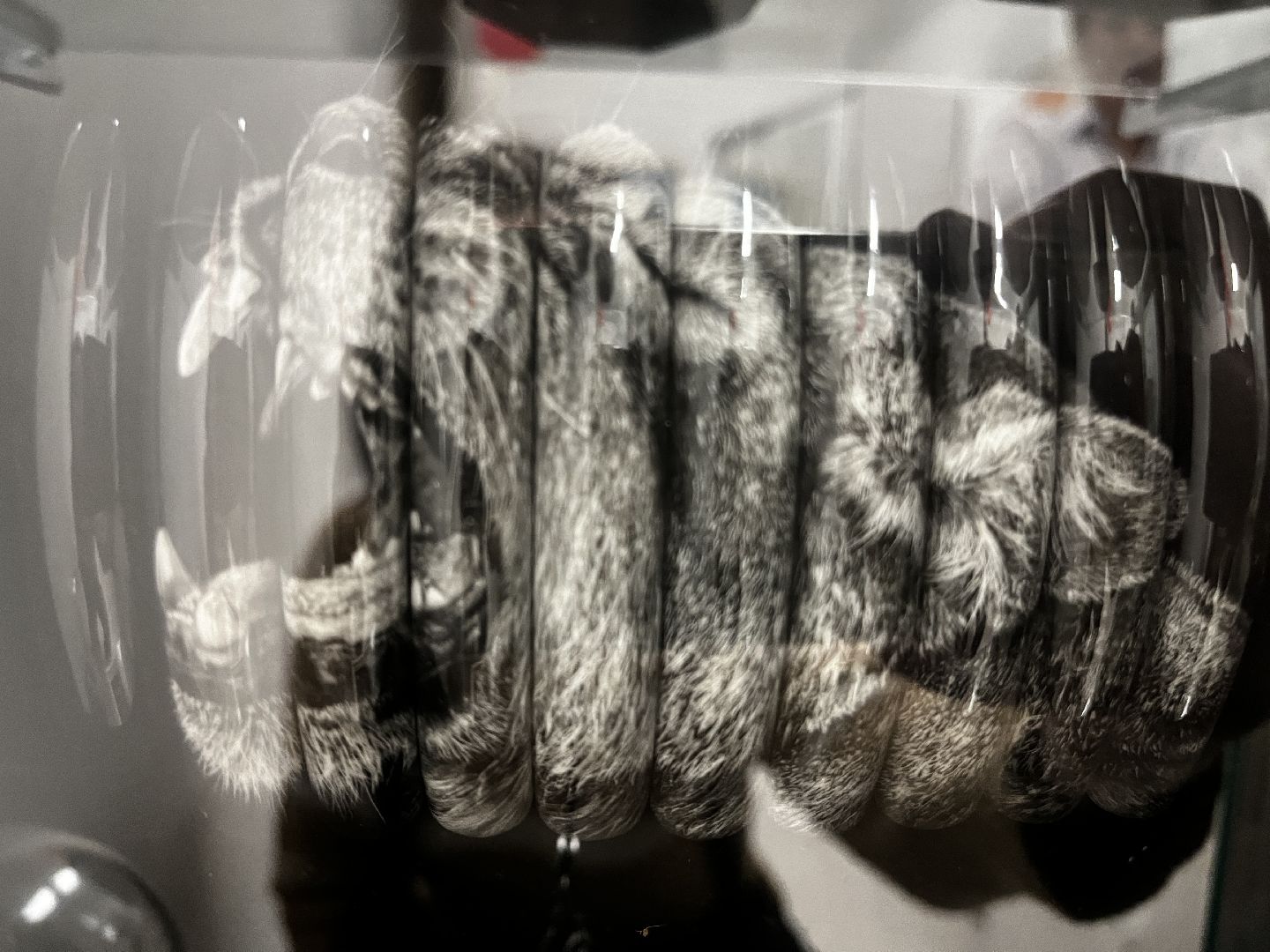 волоколамск, помощь пожилым, индивидуальные предприниматели, социальное предпринимательство,