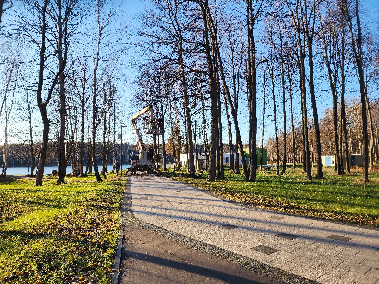 парки, парки подмосковья., парки электростали, парк авангард, зима 2024-2025, зимний отдых, зимний период, зимний сезон, электросталь, вертикалки