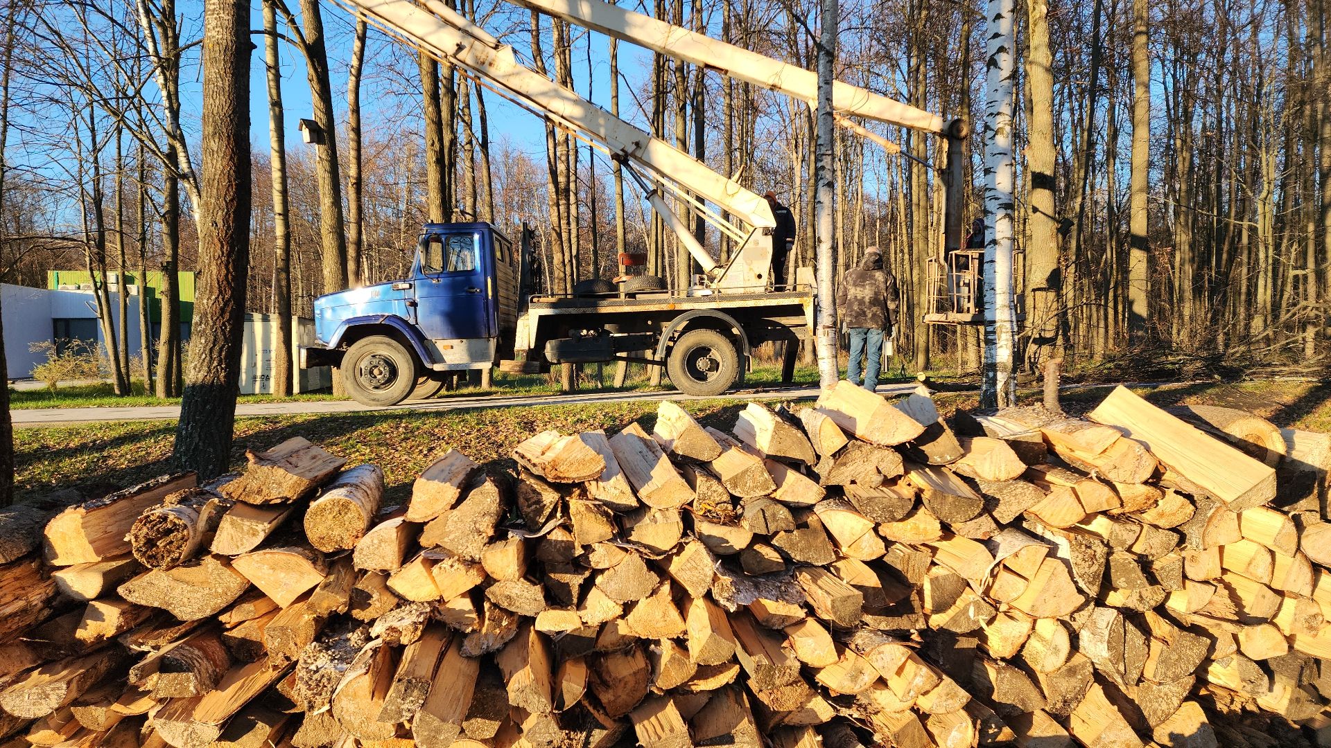 парки, парки подмосковья., парки электростали, парк авангард, зима 2024-2025, зимний отдых, зимний период, зимний сезон, электросталь, вертикалки
