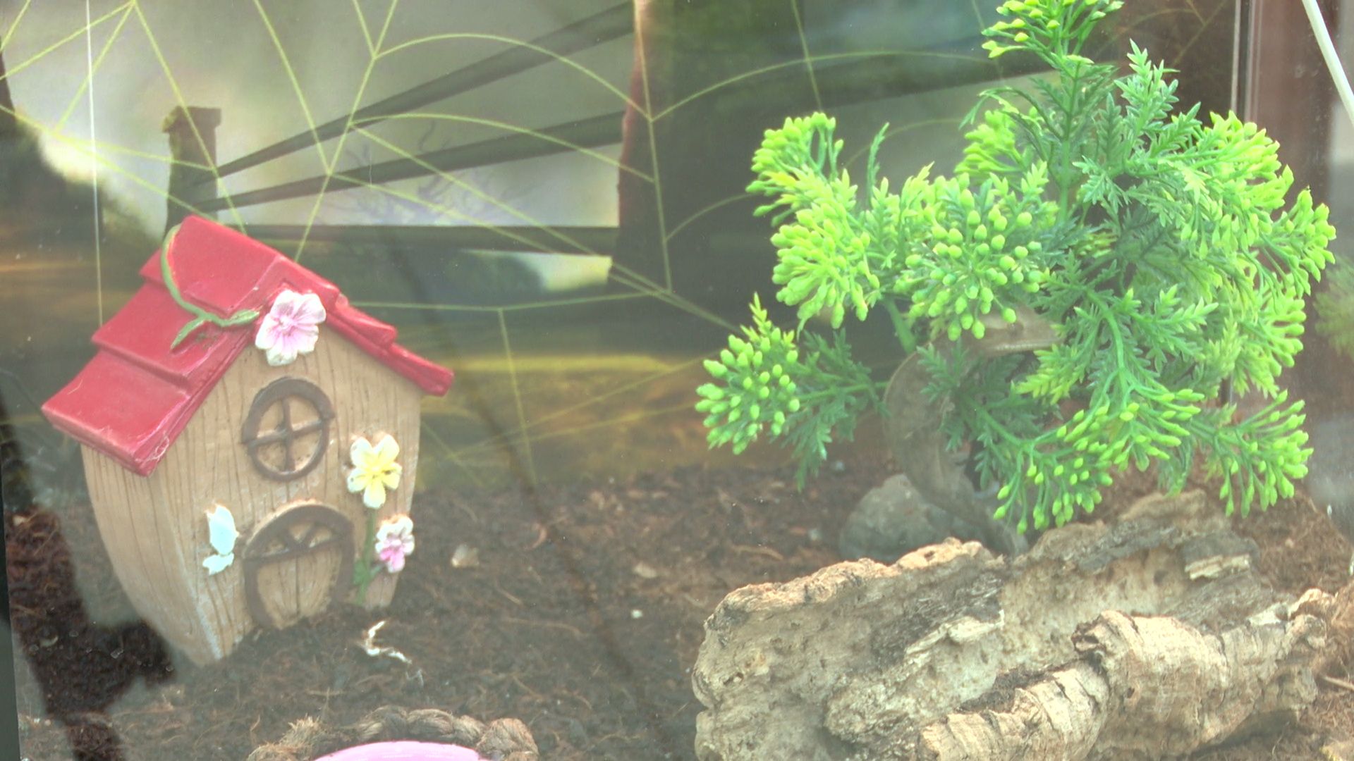 Реутов, вертикалки, культура, музей, выставка, бабочки,