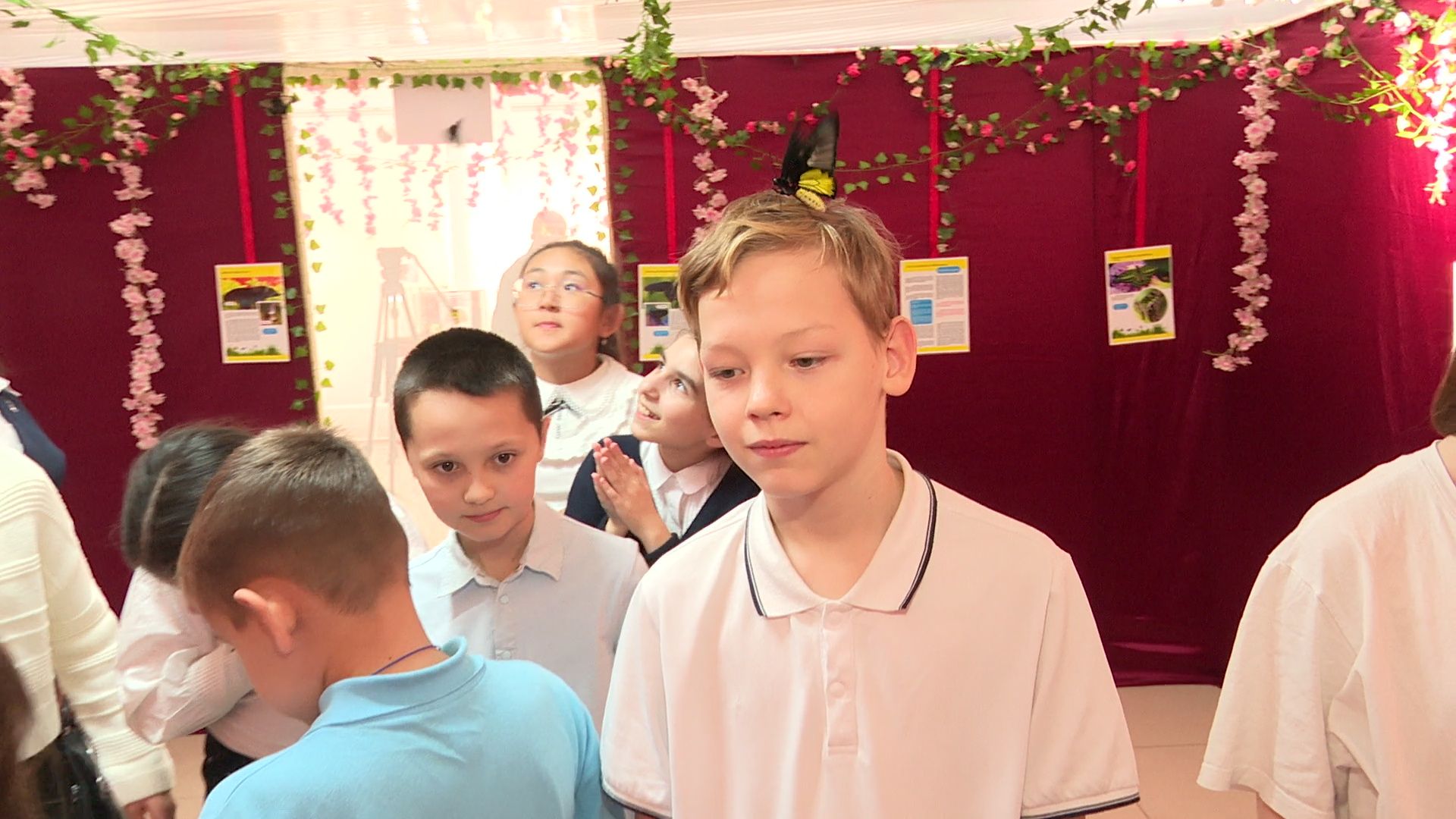 Реутов, вертикалки, культура, музей, выставка, бабочки,