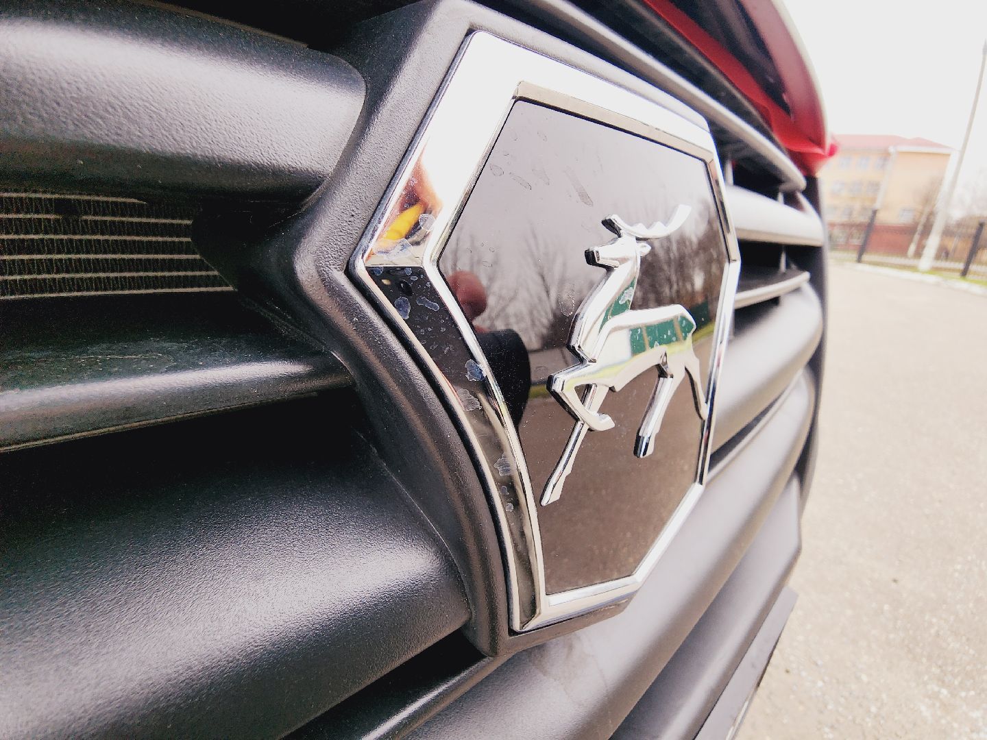 Егорьевск, Подмосковье, Московская область, Новый автобус, спортсмены, Вертикалка, вертикальное видео,