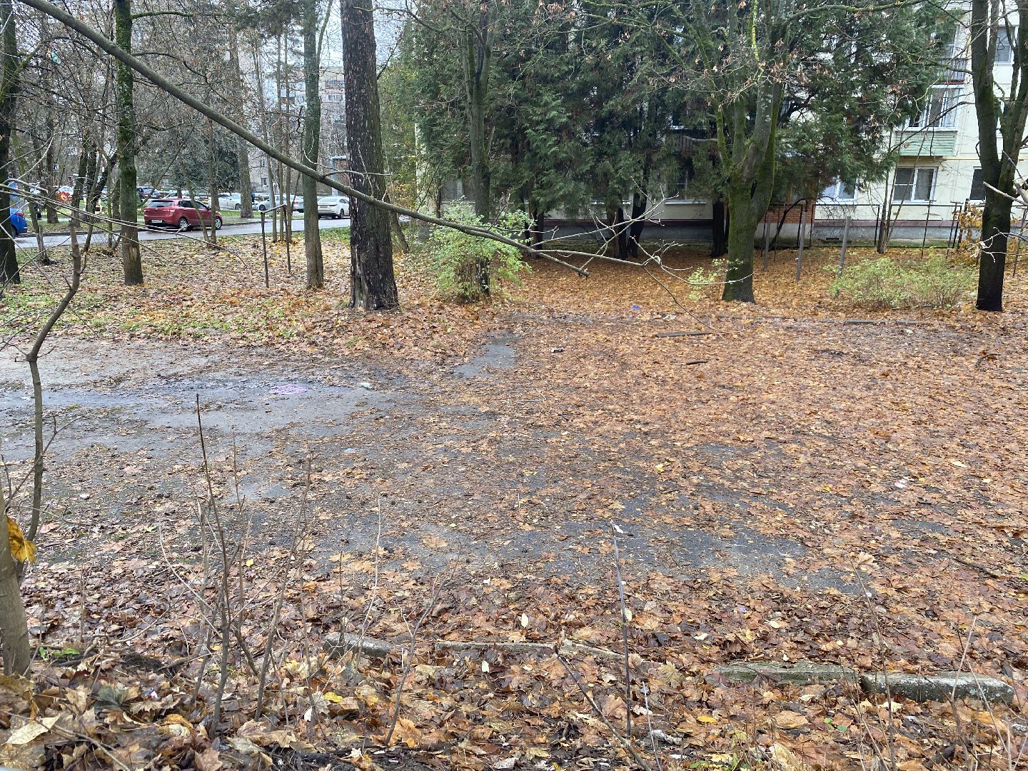 власиха цветной бульвар, обращения жителей власихи, обход территории власиха, детские площадки Власиха, парковка для инвалидов,вертикалка, вертикальное видео,