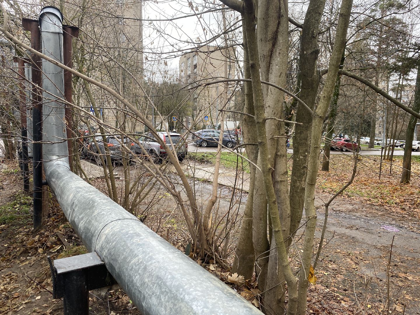 власиха цветной бульвар, обращения жителей власихи, обход территории власиха, детские площадки Власиха, парковка для инвалидов,вертикалка, вертикальное видео,