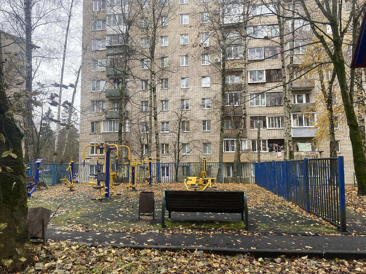 власиха цветной бульвар, обращения жителей власихи, обход территории власиха, детские площадки Власиха, парковка для инвалидов,вертикалка, вертикальное видео,