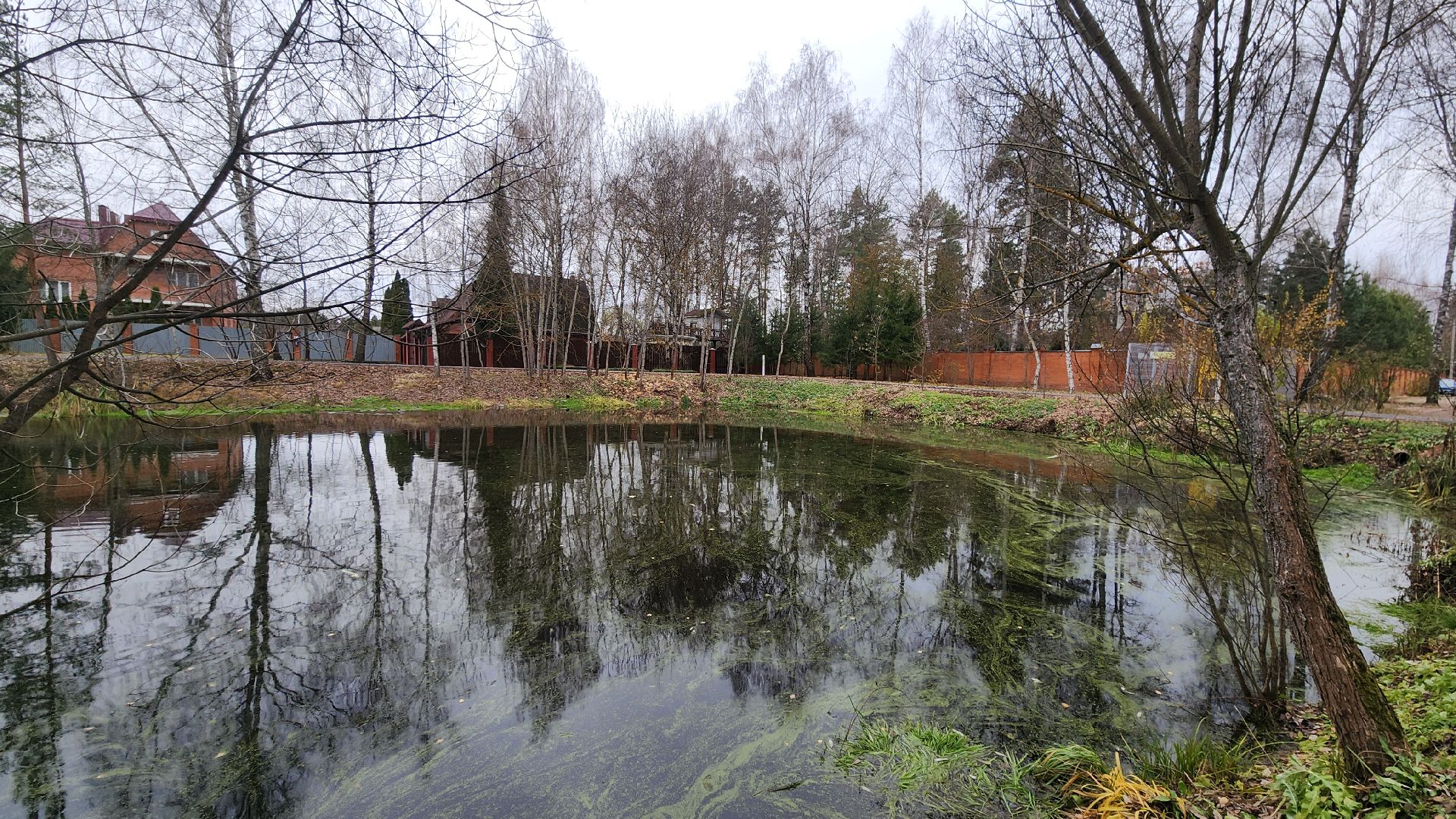 звенигород, вертикалка,вертикальное видео, Марьино, Благоустройство, Спорт, ворк-аут,