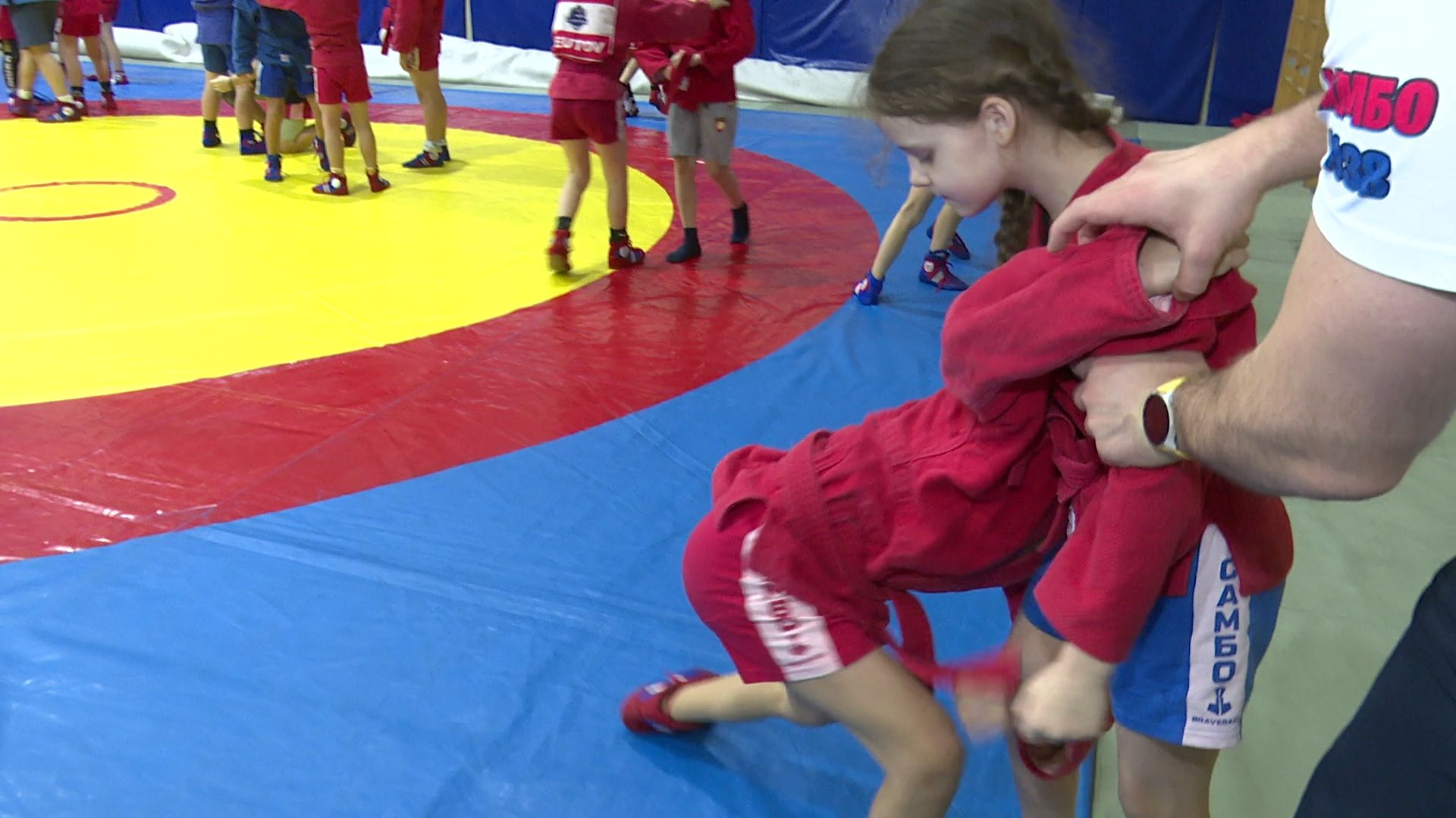 вертикалки,