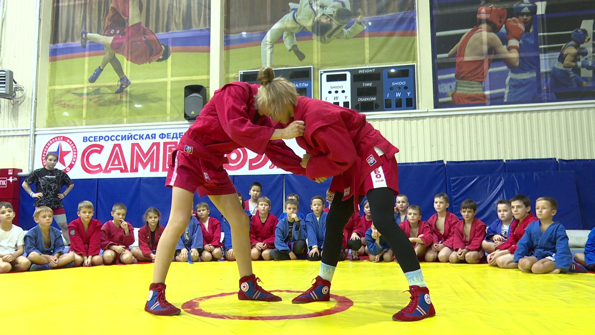 вертикалки,