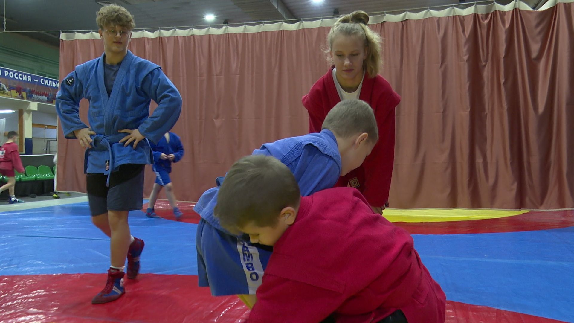 вертикалки,