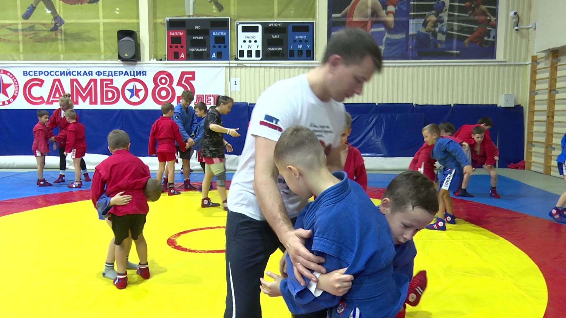 вертикалки,