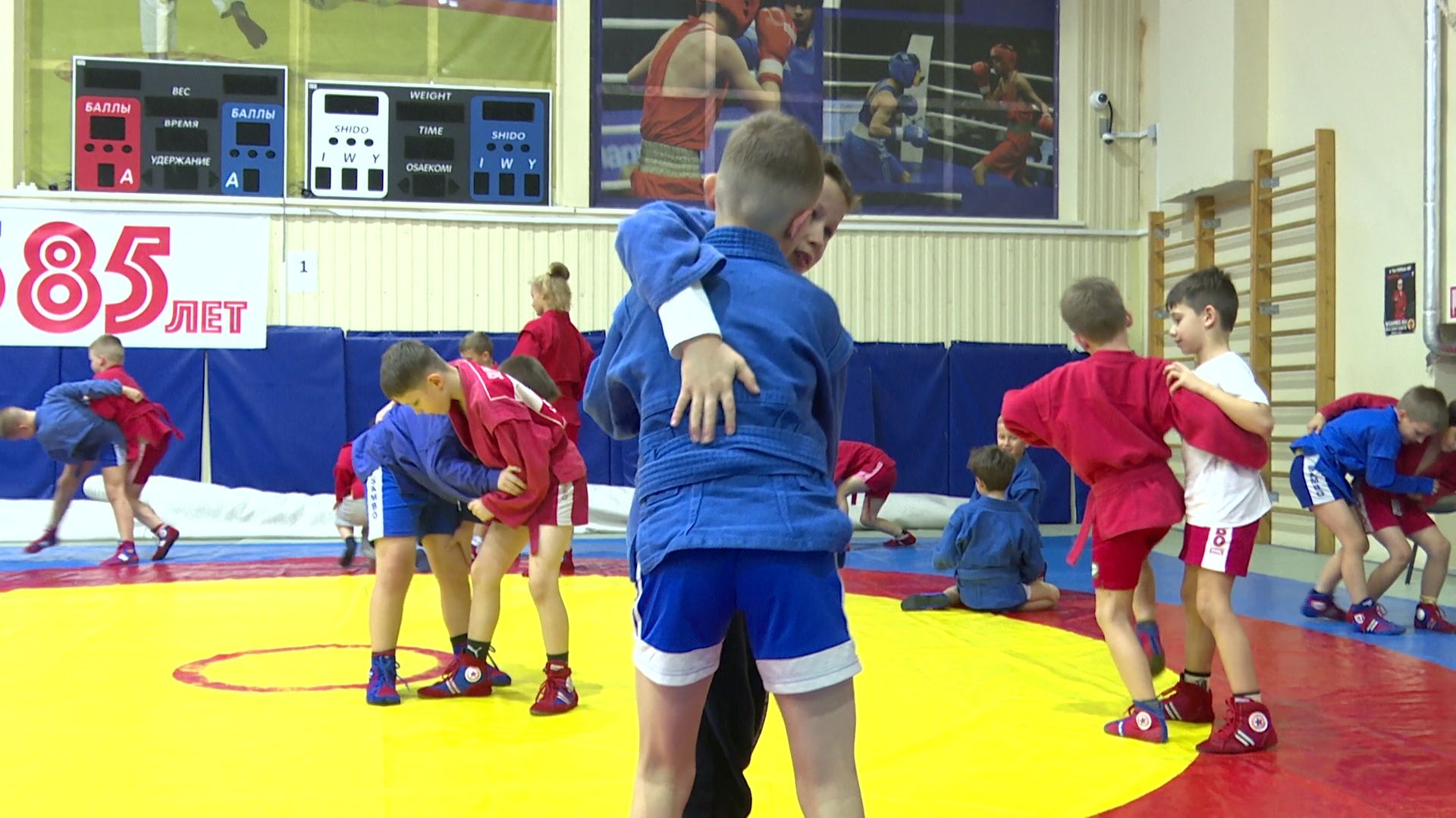 вертикалки,